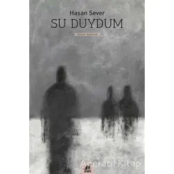 Su Duydum - Hasan Sever - Ayrıntı Yayınları