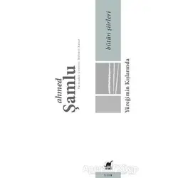 Bütün Şiirleri - Yüreğimin Kışlarında - Ahmed Şamlu - Ayrıntı Yayınları