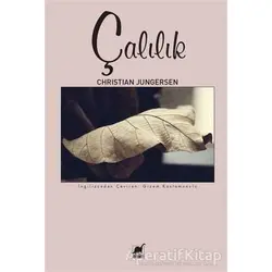 Çalılık - Christian Jungersen - Ayrıntı Yayınları