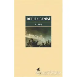Delilik Gemisi - Ali Akay - Ayrıntı Yayınları