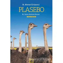 Plasebo - N. Ahmet Erözenci - Ayrıntı Yayınları