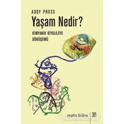 Yaşam Nedir? - Addy Pross - Metis Yayınları