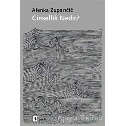 Cinsellik Nedir? - Alenka Zupancic - Metis Yayınları
