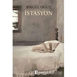 İstasyon - Birgül Oğuz - Metis Yayınları