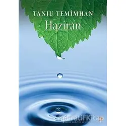 Bütün Sokaklar - Haziran - Sumru Temimhan - Cinius Yayınları