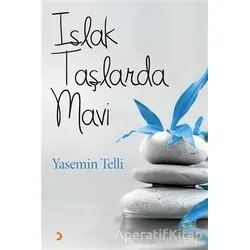 Islak Taşlarda Mavi - Yasemin Telli - Cinius Yayınları