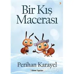 Bir Kış Macerası - Perihan Karayel - Cinius Yayınları