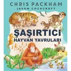 Şaşırtıcı Hayvan Yavruları - Chris Packham - İş Bankası Kültür Yayınları