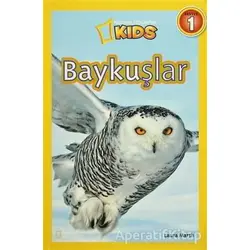 Baykuşlar - Laura Marsh - Beta Kids