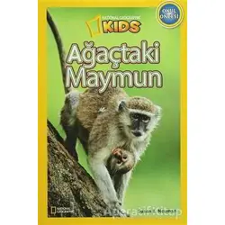 Ağaçtaki Maymun - Susan B. Neuman - Beta Kids