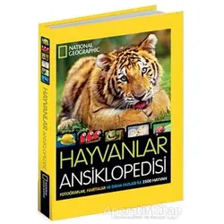 Hayvanlar Ansiklopedisi - Lucy Spelman - Beta Kids