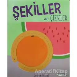 Şekiller ve Çizgiler - Kolektif - Civciv