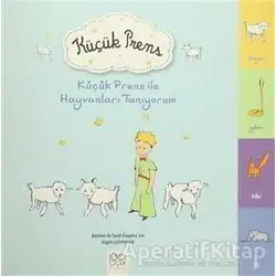 Küçük Prens İle Hayvanları Öğreniyorum - Antoine de Saint-Exupery - 1001 Çiçek Kitaplar