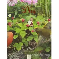 Küçük Bir Düş - Lori Evert - 1001 Çiçek Kitaplar