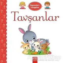 Hayvanları Tanıyalım - Tavşanlar - Emilie Belineau - 1001 Çiçek Kitaplar