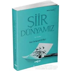 Şiir Dünyamız - İsmail Çetişli - Akçağ Yayınları