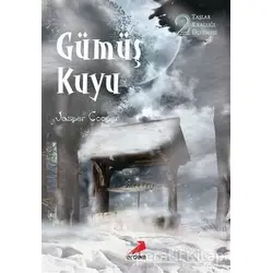 Gümüş Kuyu - Jasper Cooper - Erdem Yayınları