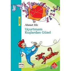 Uçurtmam Kuşlardan Güzel - Ahmet Efe - Nar Yayınları