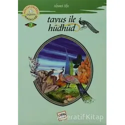 Tavus ile Hüdhüd - Ahmet Efe - Nar Yayınları