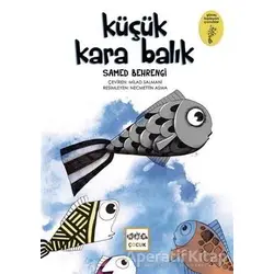 Küçük Kara Balık - Samed Behrengi - Nar Yayınları