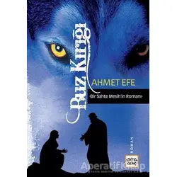 Buz Kırığı - Ahmet Efe - Nar Yayınları