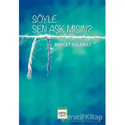 Söyle Sen Aşk mısın? - Behçet Gülenay - Nar Yayınları
