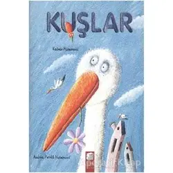 Kuşlar - Kasmir Huesinoviç - Final Kültür Sanat Yayınları