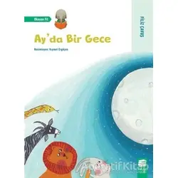Ayda Bir Gece - Filiz Çavuş - Final Kültür Sanat Yayınları
