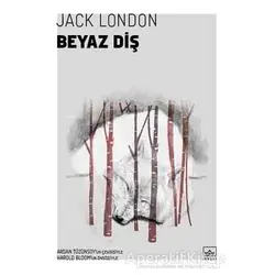 Beyaz Diş - Jack London - İthaki Yayınları