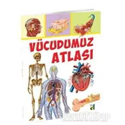 Vücudumuz Atlası - Vincenzo Umano - Damla Yayınevi