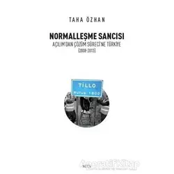 Normalleşme Sancısı - Taha Özhan - Seta Yayınları
