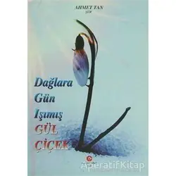 Dağlara Gün Işımış Gül Çiçek - Ahmet Tan - Can Yayınları (Ali Adil Atalay)