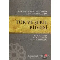 Başlangıçtan Günümüze Türk Edebiyatında Tür ve Şekil Bilgisi - Haluk Gökalp - Kesit Yayınları