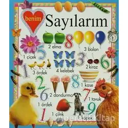 Benim Sayılarım - Kolektif - Abc Yayın Grubu