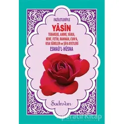 Faziletleriyle Yasin-i Şerif (Hafız Boy) - Kolektif - Şadırvan Yayınları
