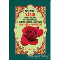Faziletleriyle Yasin (Rahle Boy) - Kolektif - Şadırvan Yayınları