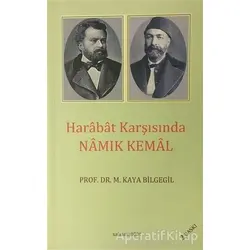 Harabat Karşısında Namık Kemal - M. Kaya Bilgegil - Salkımsöğüt Yayınları
