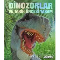 Dinozorlar ve Tarih Öncesi Yaşam - Francisco Arredondo - Çiçek Yayıncılık