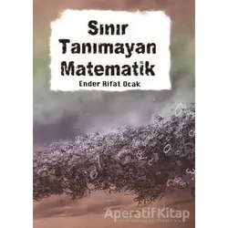 Sınır Tanımayan Matematik - Ender Rifat Ocak - Kitap Dostu Yayınları