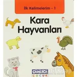 İlk Kelimelerim 1: Kara Hayvanları - Bilal Gezer - Çamlıca Çocuk Yayınları