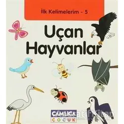 İlk Kelimelerim 5: Uçan Hayvanlar - Bilal Gezer - Çamlıca Çocuk Yayınları