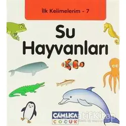 İlk Kelimelerim 7: Su Hayvanları - Bilal Gezer - Çamlıca Çocuk Yayınları