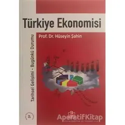 Türkiye Ekonomisi (Hüseyin Şahin) - Hüseyin Şahin - Ezgi Kitabevi Yayınları