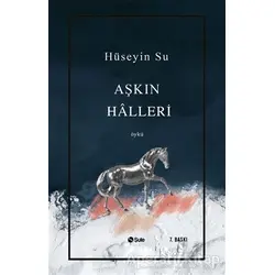 Aşkın Halleri - Hüseyin Su - Şule Yayınları