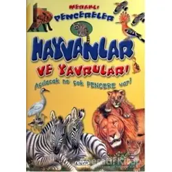Meraklı Pencereler - Hayvanlar ve Yavruları - Kolektif - Çiçek Yayıncılık
