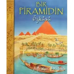 Bir Piramidin Öyküsü - Nicholas Harris - 1001 Çiçek Kitaplar