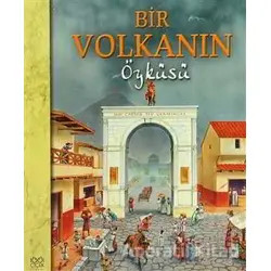 Bir Volkanın Öyküsü - Nicholas Harris - 1001 Çiçek Kitaplar