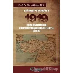 Güneydoğu 1919 - Necati Fahri Taş - Tarihçi Kitabevi