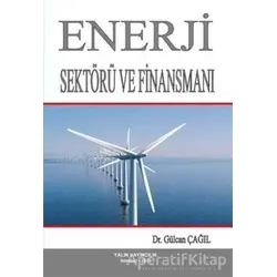 Enerji Sektörü ve Finansmanı - Gülcan Çağıl - Yalın Yayıncılık