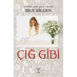 Çığ Gibi - Bige Bilgen - Feniks Yayınları